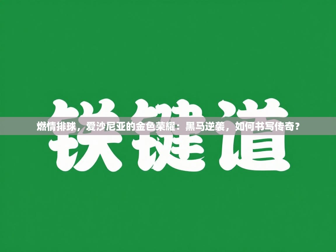 燃情排球,爱沙尼亚的金色荣耀:黑马逆袭,如何书写传奇? 燃情排球,爱沙尼亚的金色荣耀:黑马逆袭,如何书写传奇?